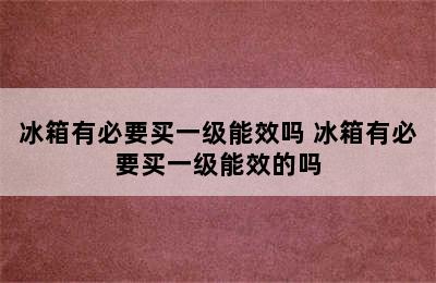 冰箱有必要买一级能效吗 冰箱有必要买一级能效的吗